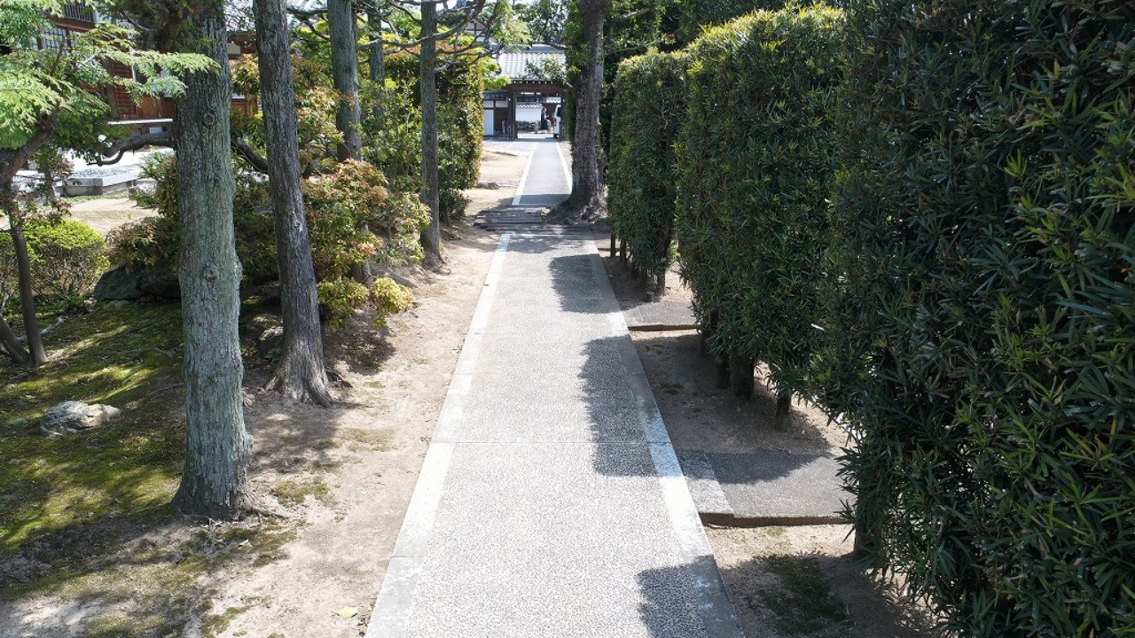天澤院への道